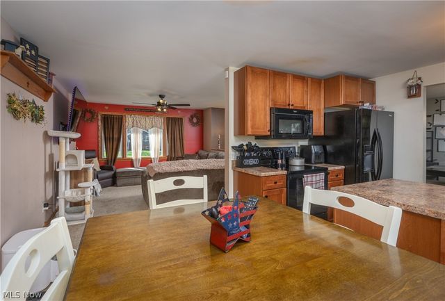 10770 Dot Avenue NE, Alliance, OH 44601