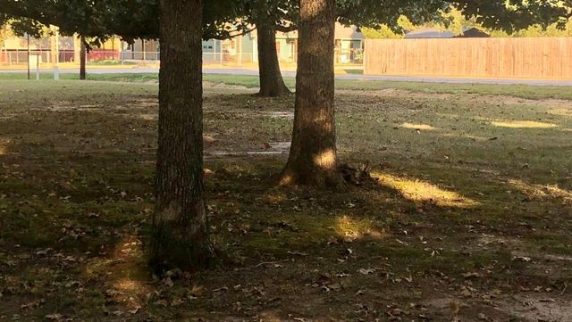 36 Kalyn Road, Huntsville, TX 77340