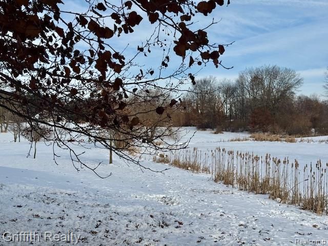 5748 W Coon Lake Road, Howell, MI 48843