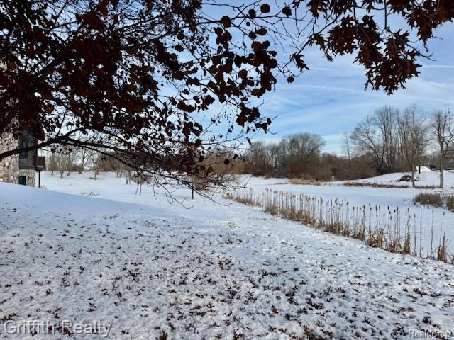 5748 W Coon Lake Road, Howell, MI 48843