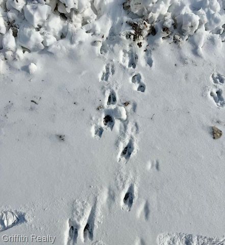 5748 W Coon Lake Road, Howell, MI 48843