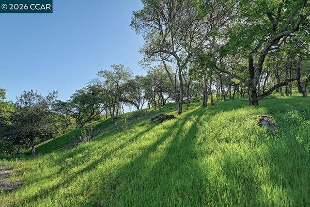 6415 Horsemans Canyon Dr, Walnut Creek, CA 94595