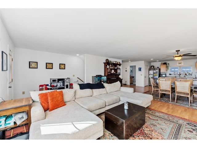 387 8th St, Fairplay, CO 80440