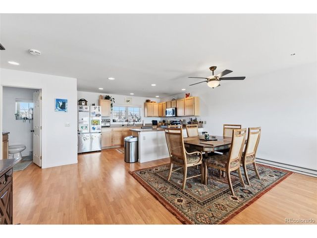 387 8th St, Fairplay, CO 80440