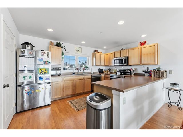 387 8th St, Fairplay, CO 80440