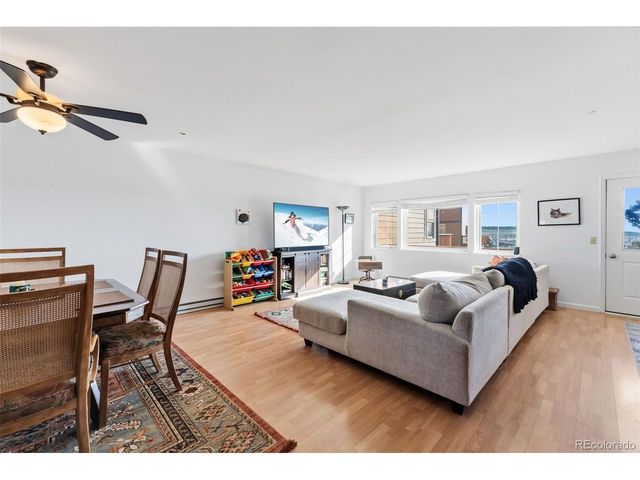 387 8th St, Fairplay, CO 80440