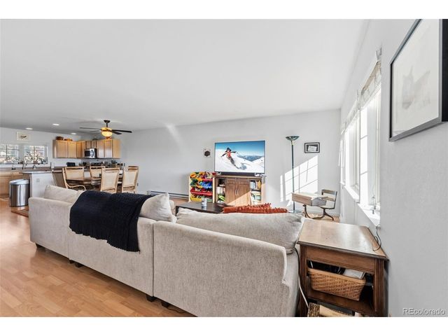 387 8th St, Fairplay, CO 80440