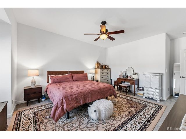 387 8th St, Fairplay, CO 80440