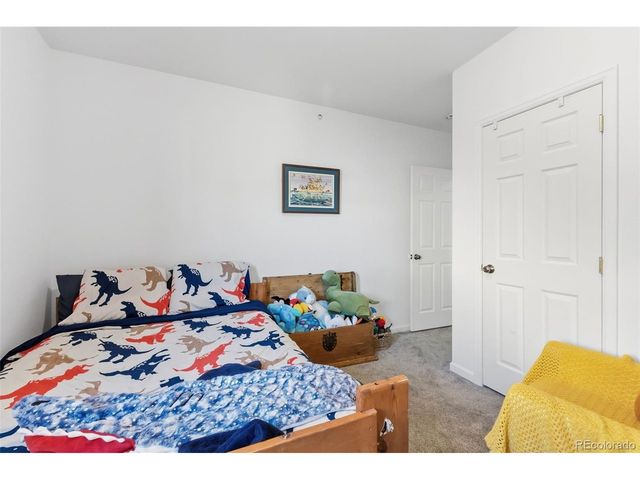 387 8th St, Fairplay, CO 80440