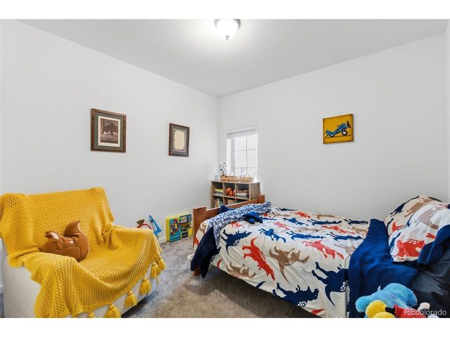 387 8th St, Fairplay, CO 80440