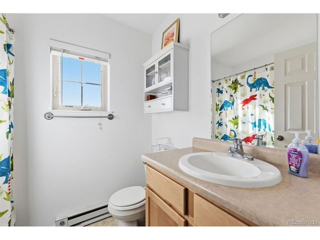 387 8th St, Fairplay, CO 80440