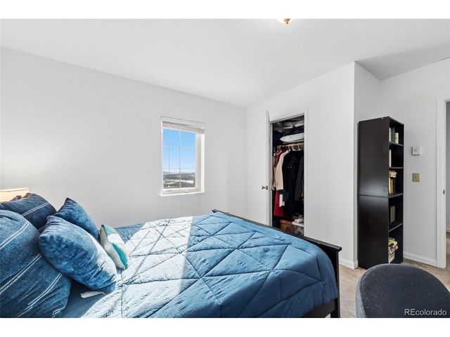 387 8th St, Fairplay, CO 80440