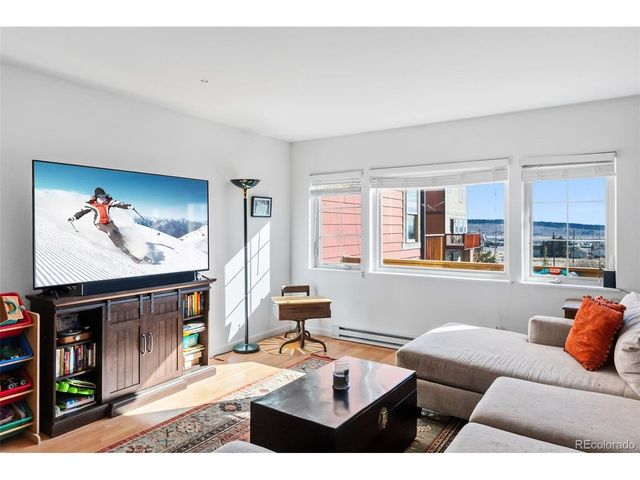 387 8th St, Fairplay, CO 80440