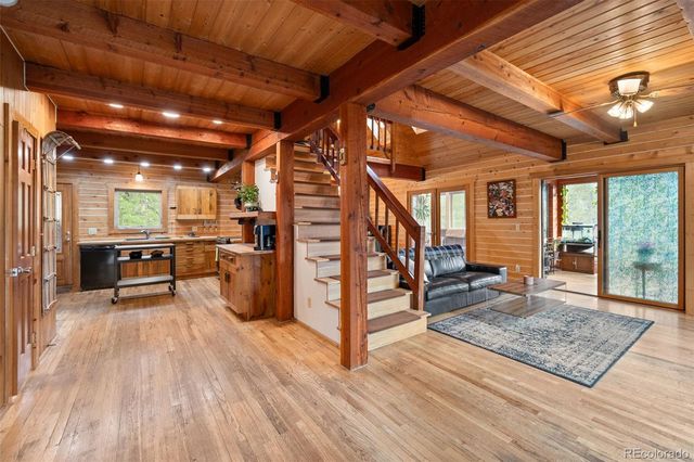 54 Old Little Bear Creek Road, Idaho Springs, CO 80452