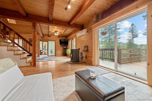 54 Old Little Bear Creek Road, Idaho Springs, CO 80452