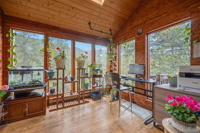 54 Old Little Bear Creek Road, Idaho Springs, CO 80452