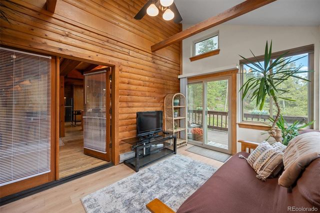 54 Old Little Bear Creek Road, Idaho Springs, CO 80452