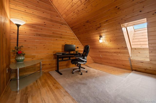 54 Old Little Bear Creek Road, Idaho Springs, CO 80452