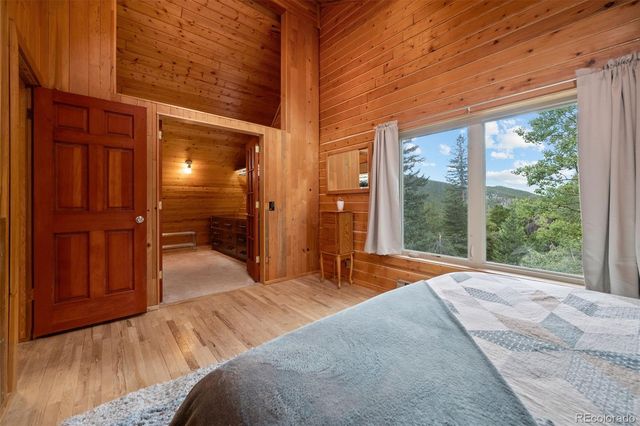 54 Old Little Bear Creek Road, Idaho Springs, CO 80452