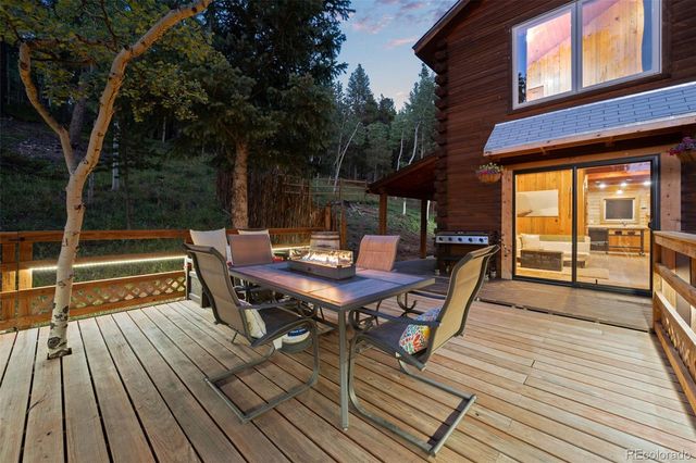54 Old Little Bear Creek Road, Idaho Springs, CO 80452