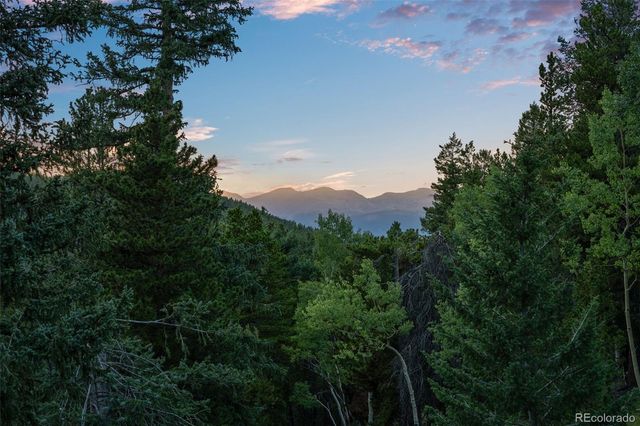 54 Old Little Bear Creek Road, Idaho Springs, CO 80452