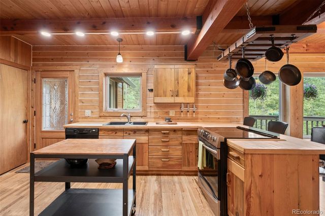54 Old Little Bear Creek Road, Idaho Springs, CO 80452
