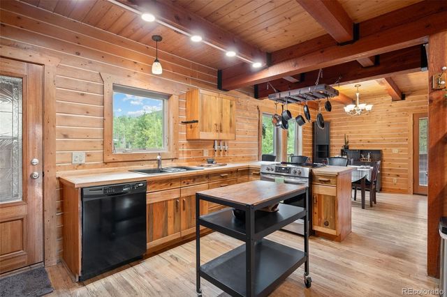 54 Old Little Bear Creek Road, Idaho Springs, CO 80452