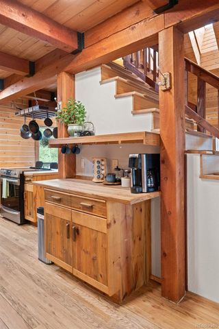 54 Old Little Bear Creek Road, Idaho Springs, CO 80452