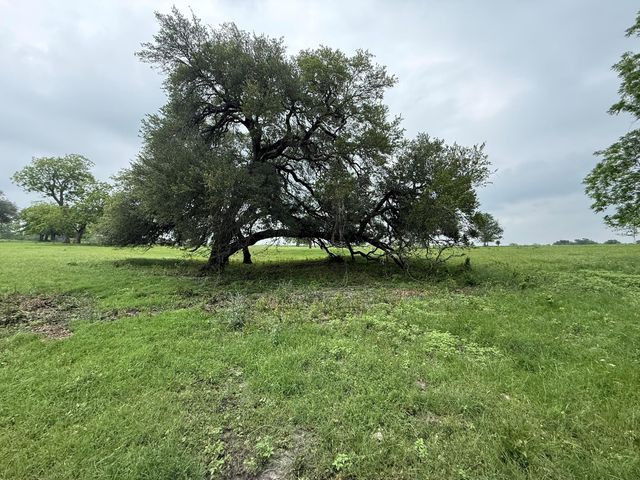 5719 Farm To Market 2238, Schulenburg, TX 78956