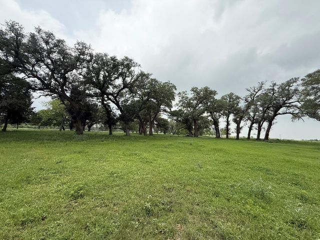 5719 Farm To Market 2238, Schulenburg, TX 78956