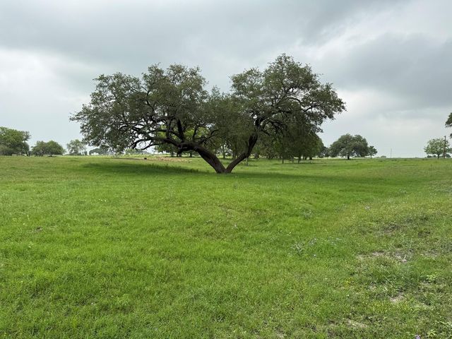 5719 Farm To Market 2238, Schulenburg, TX 78956