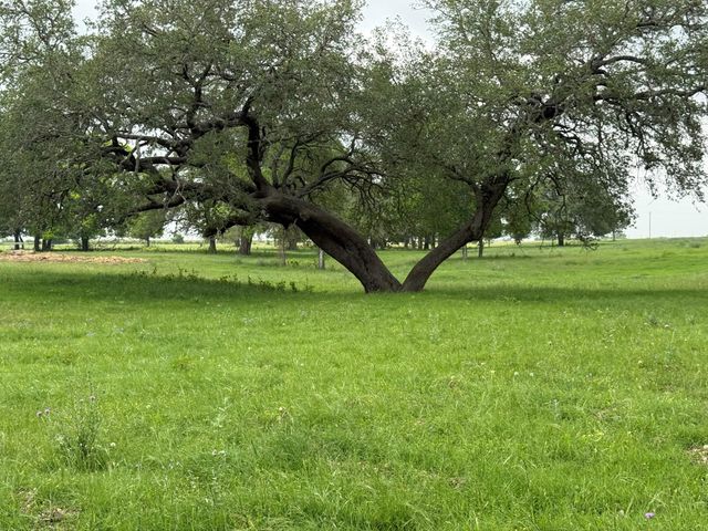5719 Farm To Market 2238, Schulenburg, TX 78956