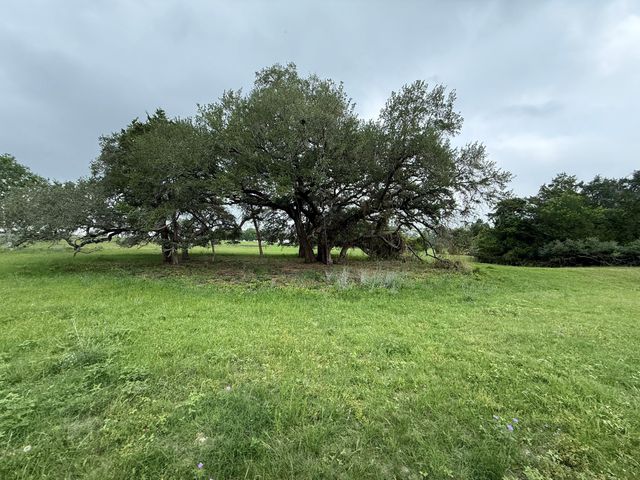 5719 Farm To Market 2238, Schulenburg, TX 78956