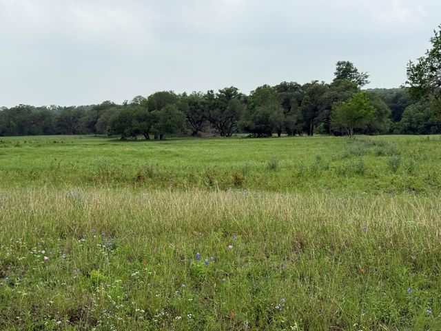 5719 Farm To Market 2238, Schulenburg, TX 78956
