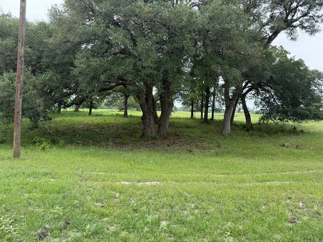 5719 Farm To Market 2238, Schulenburg, TX 78956