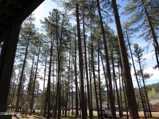 9016 W FOSSIL CREEK Road, Pine, AZ 85544