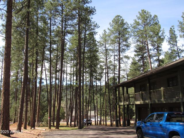 9016 W FOSSIL CREEK Road, Pine, AZ 85544