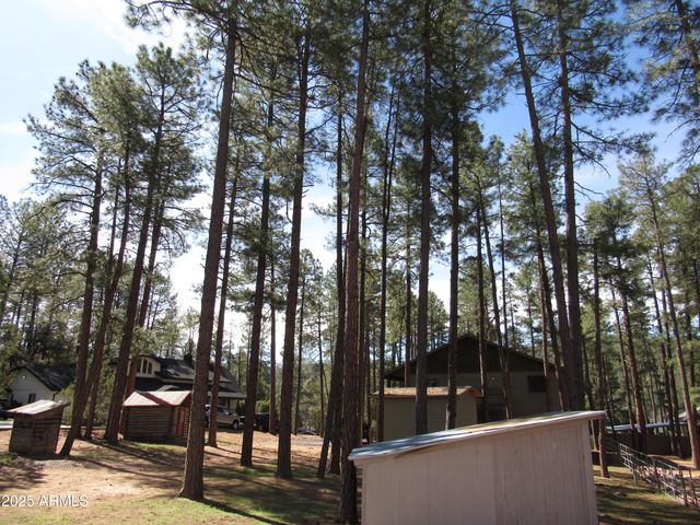 9016 W FOSSIL CREEK Road, Pine, AZ 85544