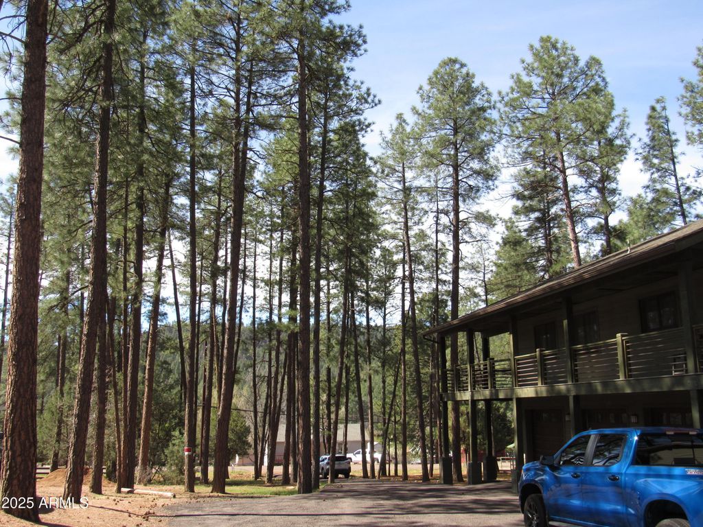 Image 3 of property listing at 9016 W FOSSIL CREEK Road, Pine, AZ 85544