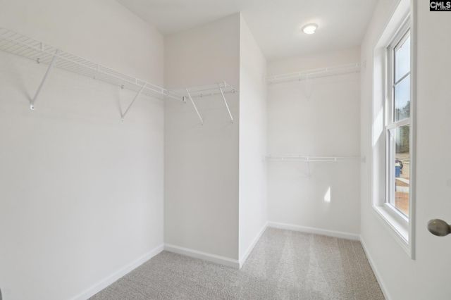 208 Ruby Prince Way, Lexington, SC 29073