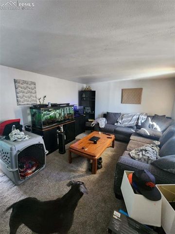 24405 Handle Road, Calhan, CO 80808