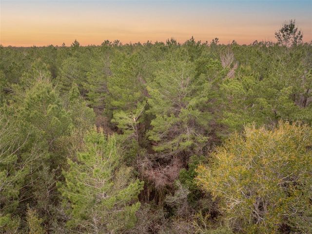 SEMINOLE WOODS BOULEVARD, Geneva, FL 32732