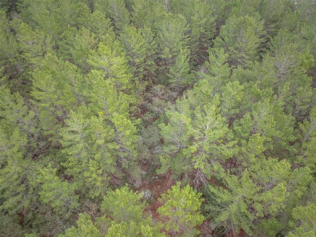 SEMINOLE WOODS BOULEVARD, Geneva, FL 32732