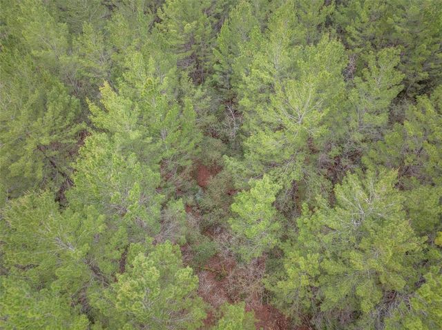 SEMINOLE WOODS BOULEVARD, Geneva, FL 32732