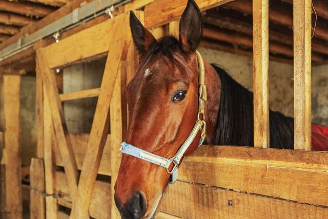 2138 Mudsock Road, Hillsboro, KY 41049