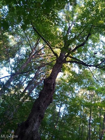 8123 Vandemark Road, Lodi, OH 44254