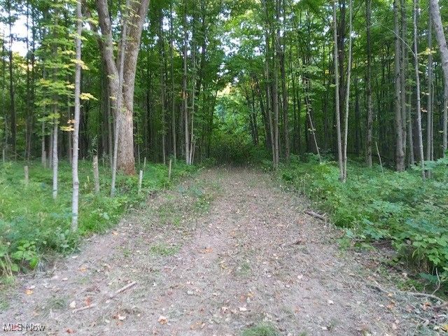 8123 Vandemark Road, Lodi, OH 44254