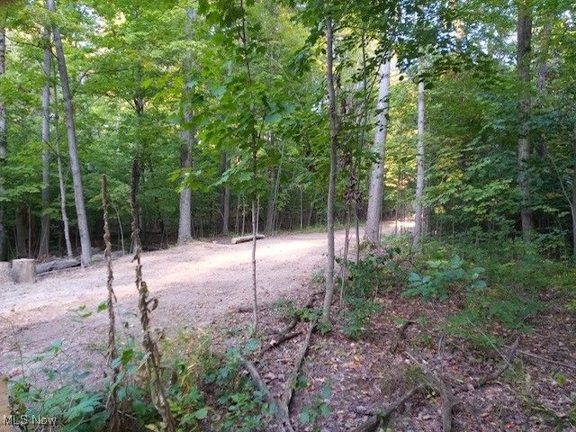 8123 Vandemark Road, Lodi, OH 44254