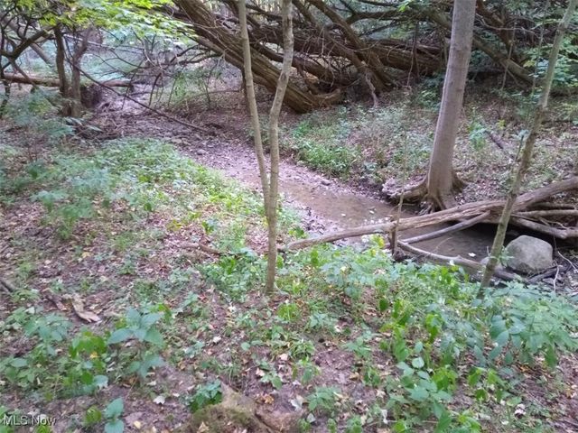 8123 Vandemark Road, Lodi, OH 44254