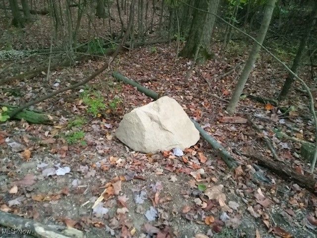 8123 Vandemark Road, Lodi, OH 44254